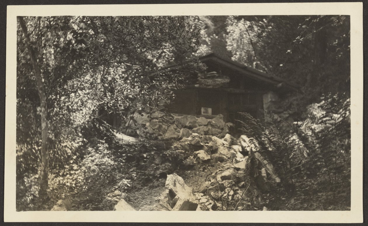 [Forest Lodge] da Louis Fleckenstein