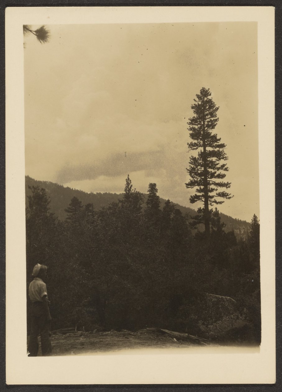 [Idyllwild] da Louis Fleckenstein