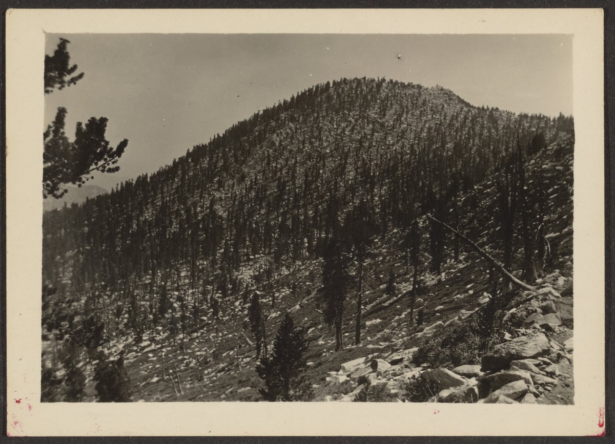 [Jean Peak from Trail] da Louis Fleckenstein