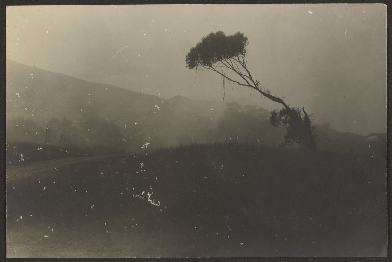 Laguna Beach da Louis Fleckenstein