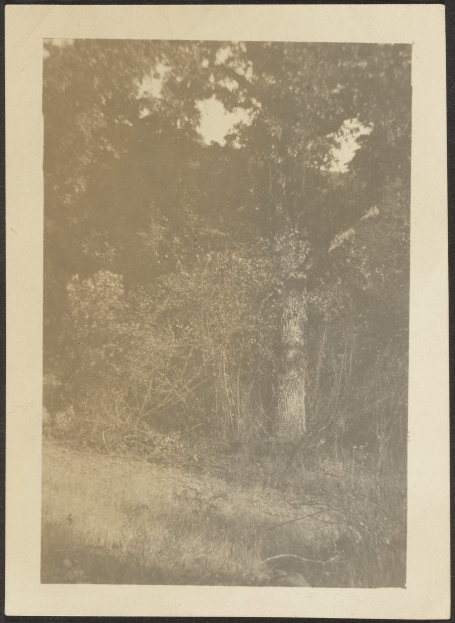 [Paesaggio] da Louis Fleckenstein