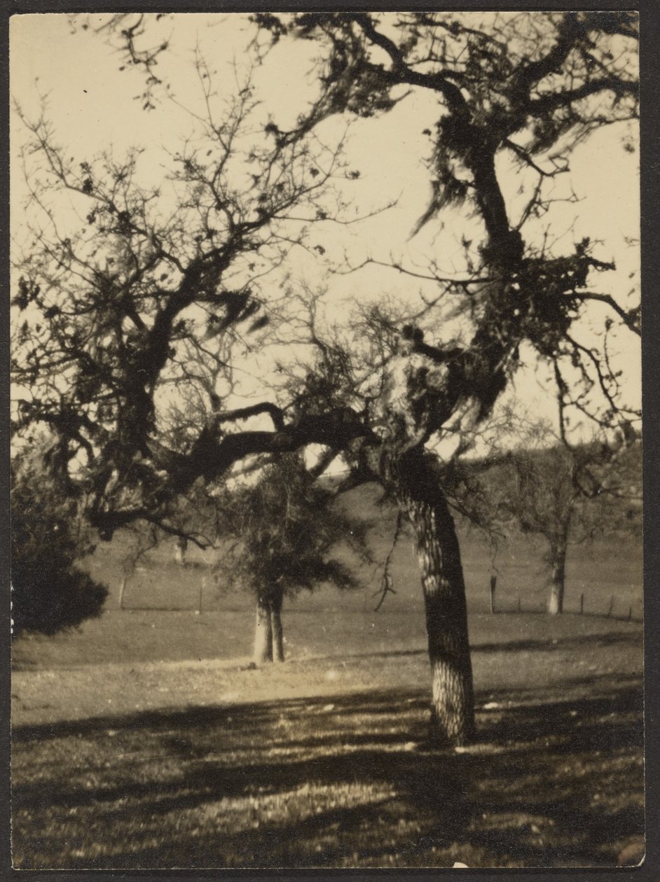 [Paesaggio] da Louis Fleckenstein