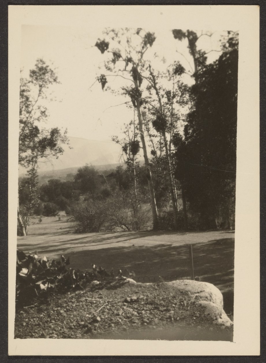 [Paesaggio] da Louis Fleckenstein