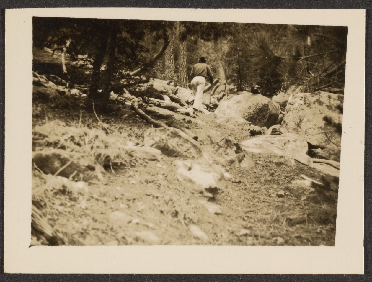 [Paesaggio] da Louis Fleckenstein