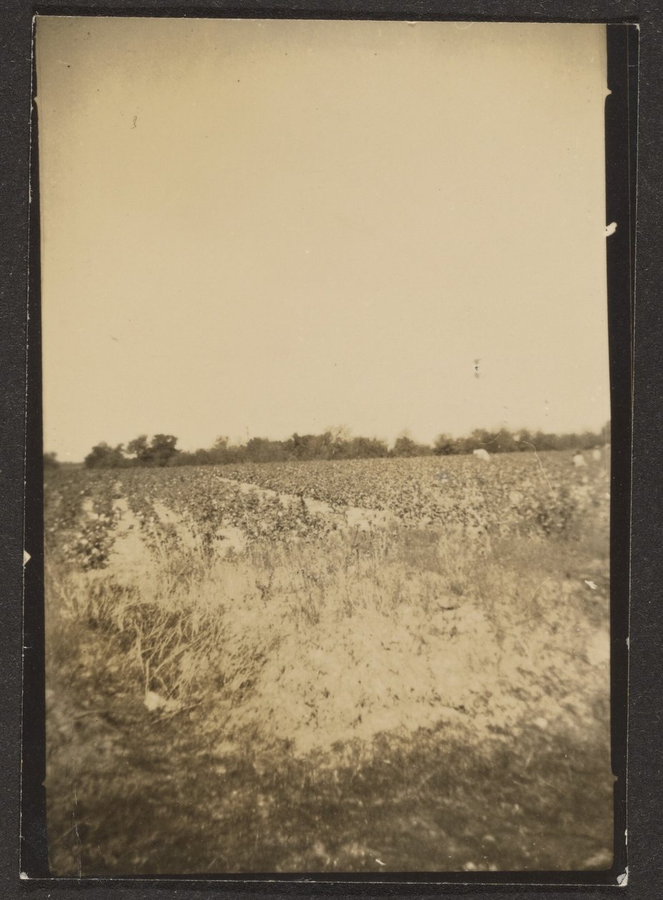 [Paesaggio] da Louis Fleckenstein