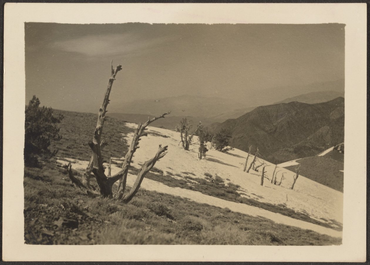 [Paesaggio] da Louis Fleckenstein