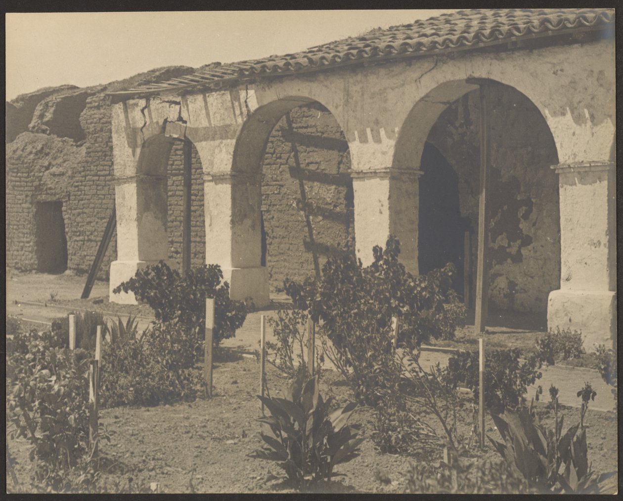 [Missione Giardino] da Louis Fleckenstein