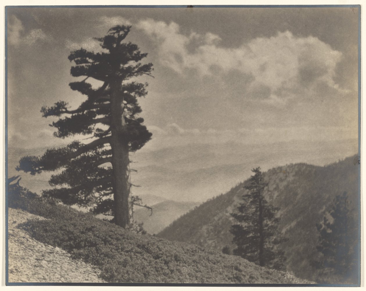 [Sulla cresta verso Old Baldy] da Louis Fleckenstein