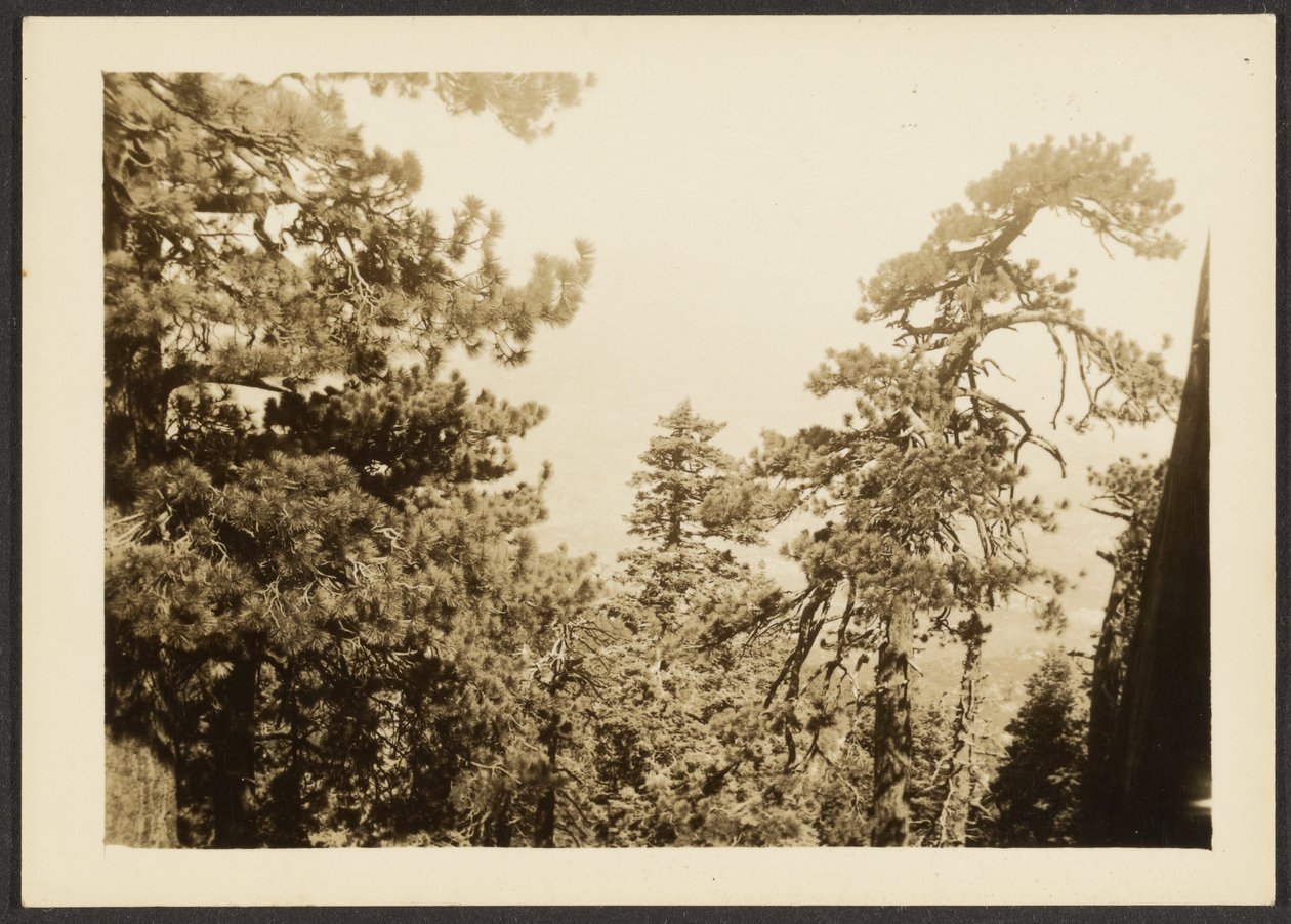 [Santa Rosa Peak] da Louis Fleckenstein