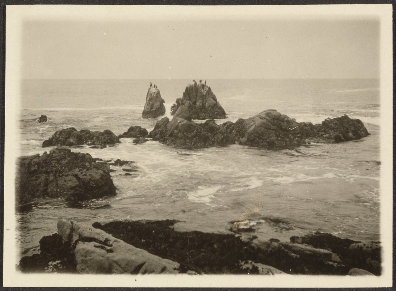 [Paesaggio marino] da Louis Fleckenstein