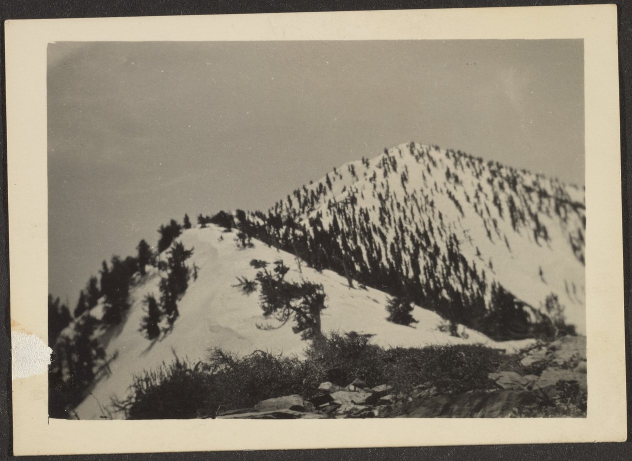 [Telescope Peak] da Louis Fleckenstein