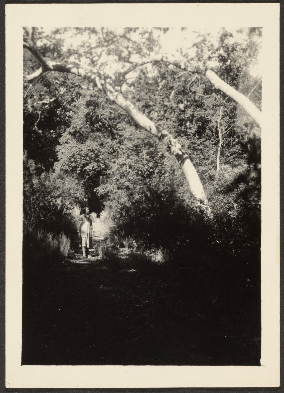 [Donna su sentiero nel bosco] da Louis Fleckenstein