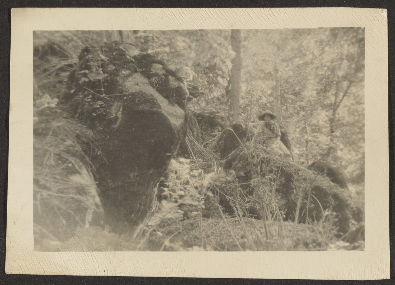 [Donna sulle rocce nel bosco] da Louis Fleckenstein