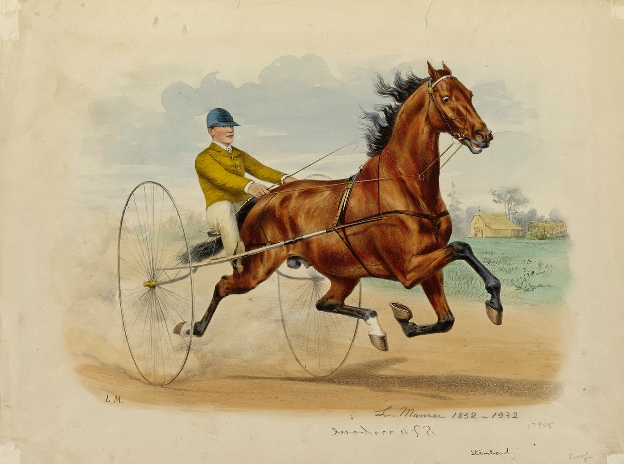 Stamboul da Louis Maurer