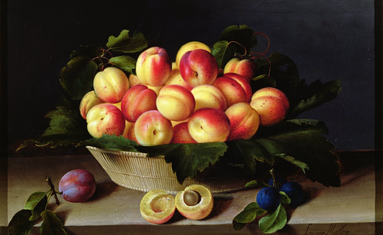 Cesto di albicocche, 1634 da Louise Moillon