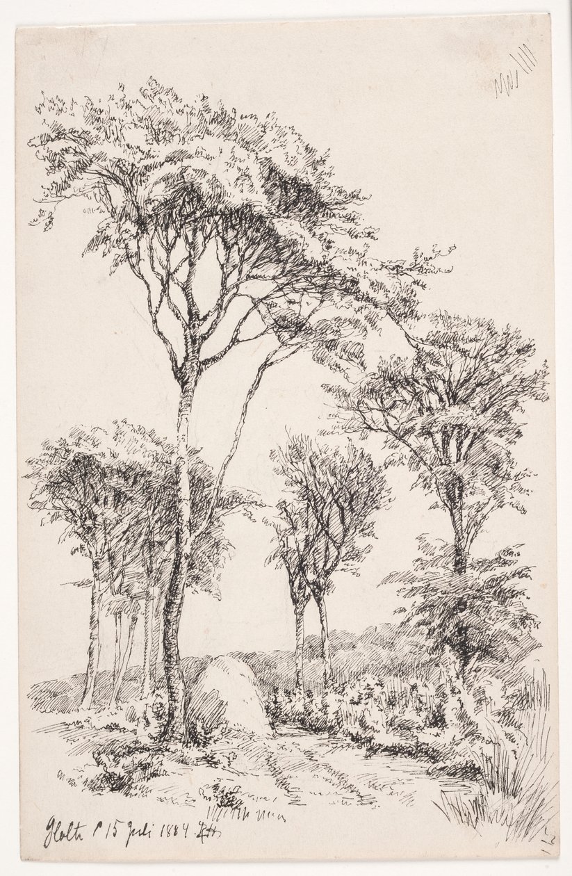 Paesaggio boschivo con alberi isolati da Louise Ravn Hansen