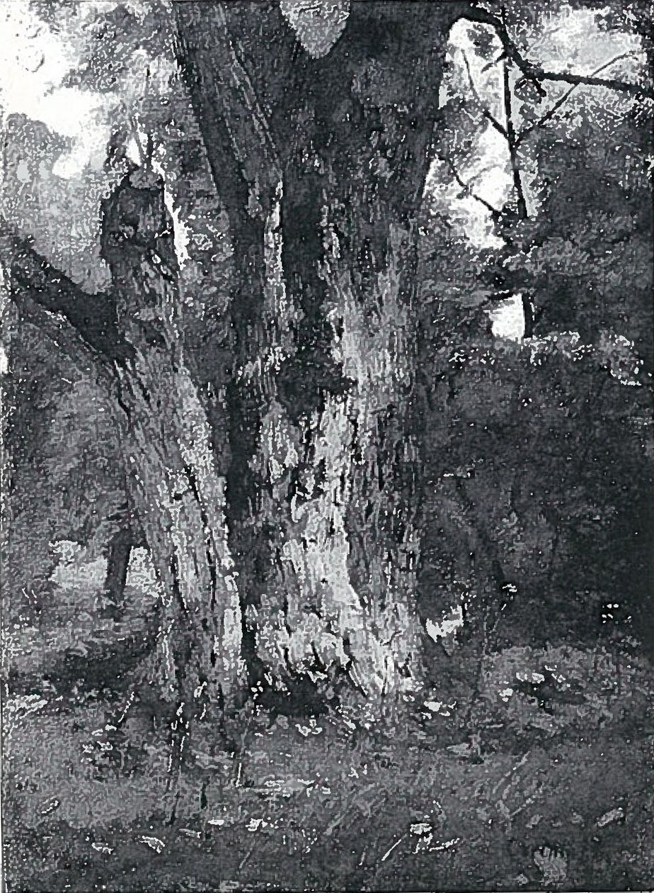 Parco Aweider a Königsberg da Lovis Corinth