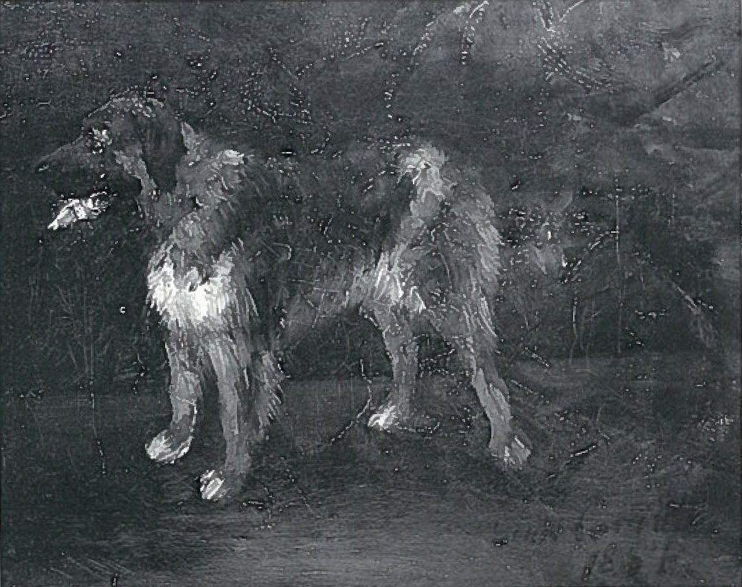 Studi di cani da Lovis Corinth