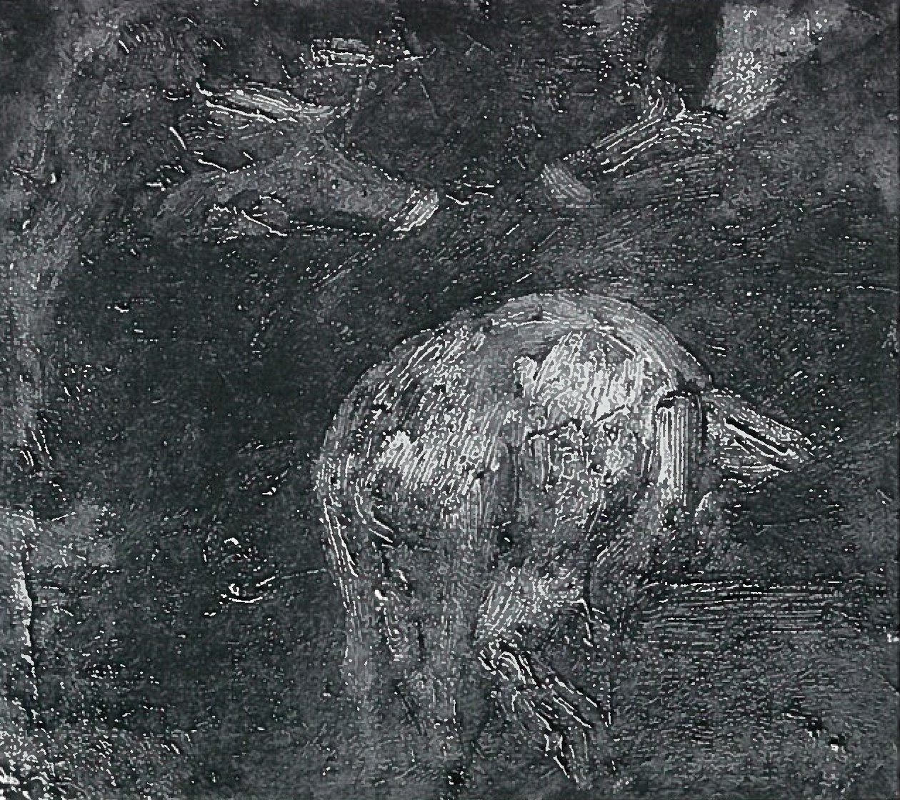 Studi di maiali da Lovis Corinth