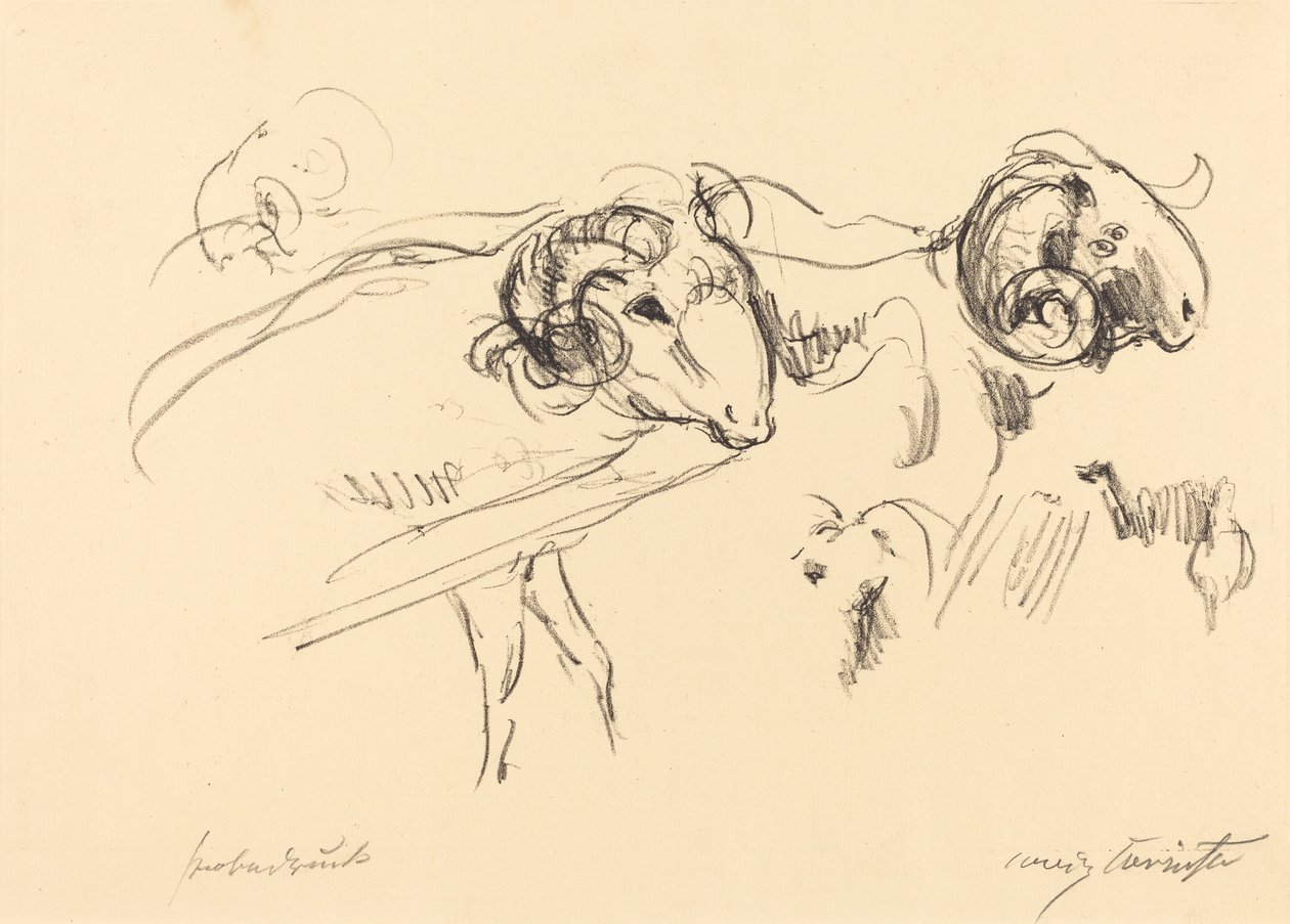 Arieti, 1912 da Lovis Corinth