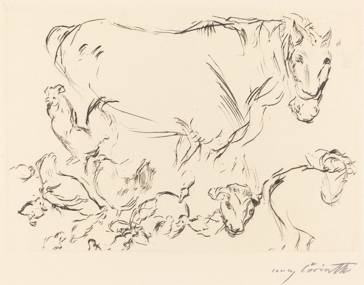 Studi di animali da Lovis Corinth