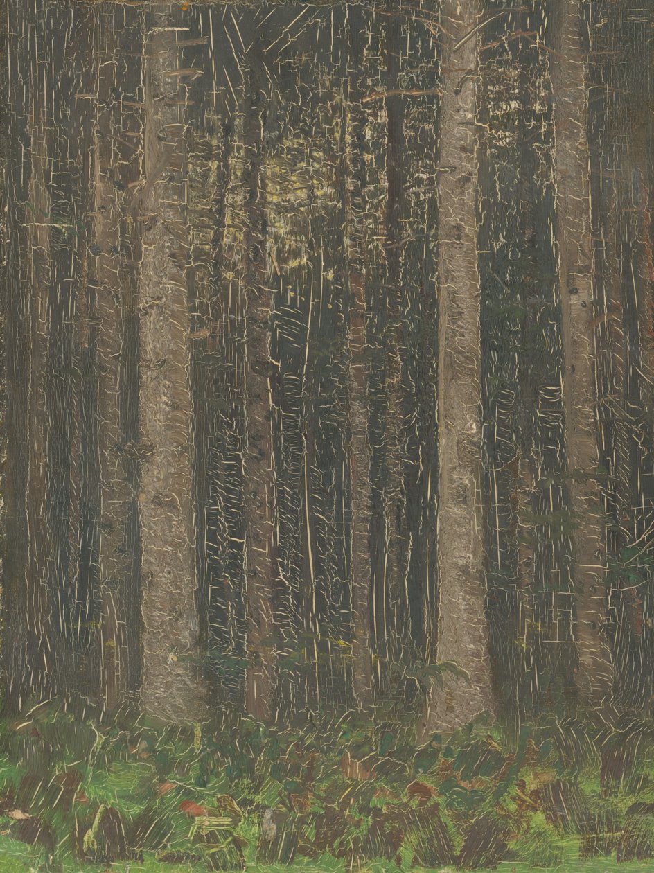 Interno della foresta da Laszlo Mednyanszky