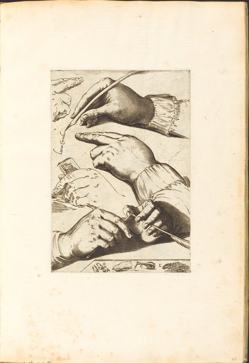 Stampa dal libro di disegni da Luca Ciamberlano