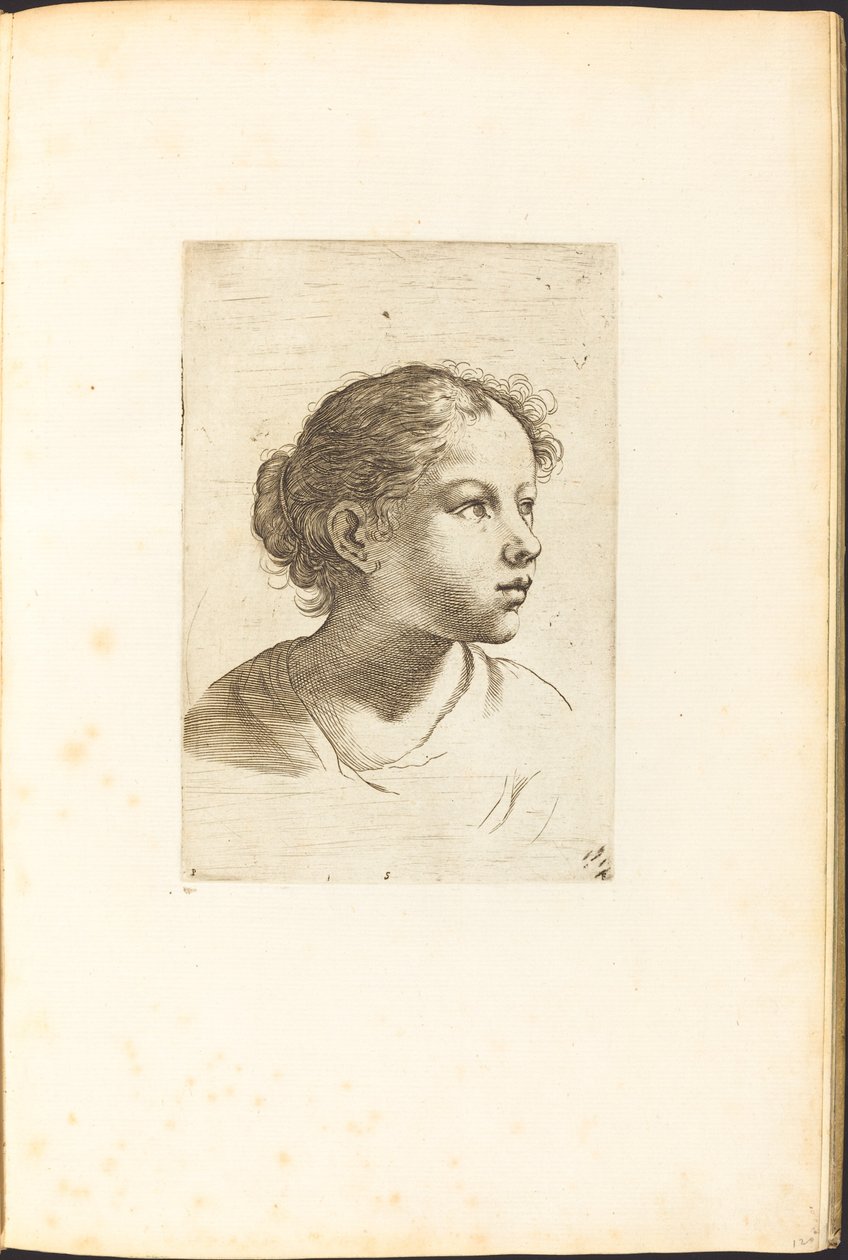 Stampa dal libro di disegni da Luca Ciamberlano