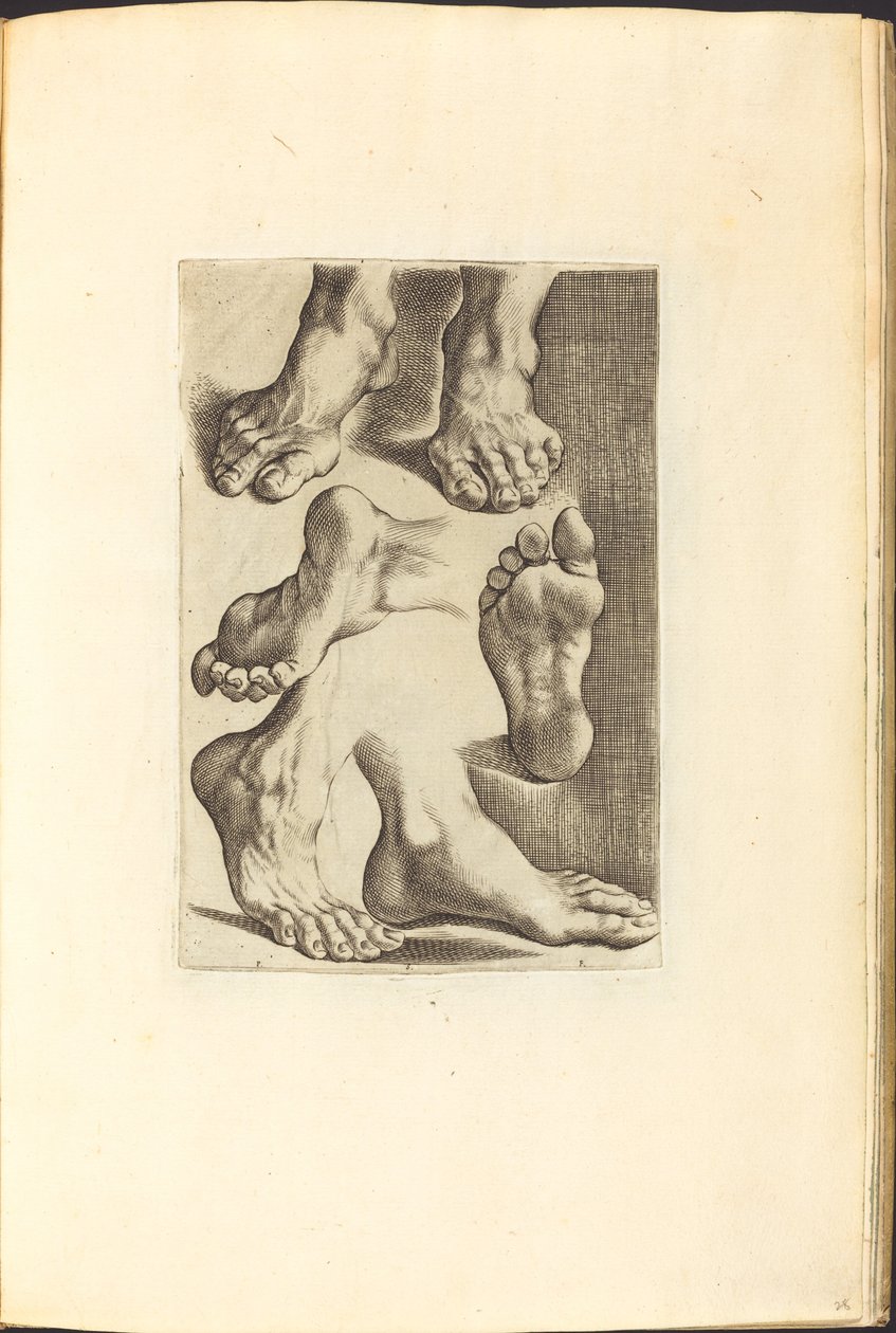 Stampa dal libro di disegni da Luca Ciamberlano