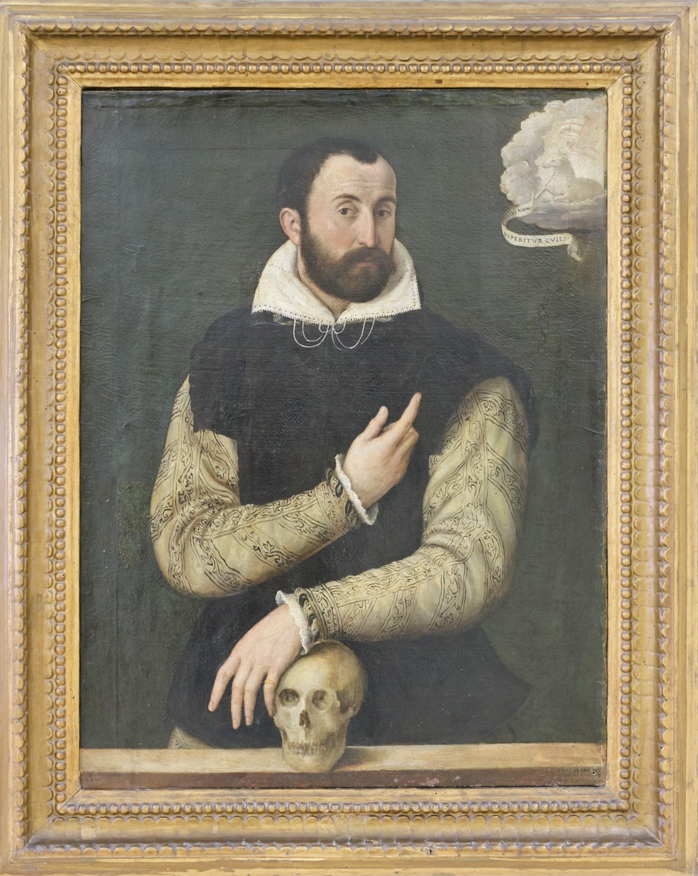 Ritratto di Gerolamo Rossi da Luca Longhi