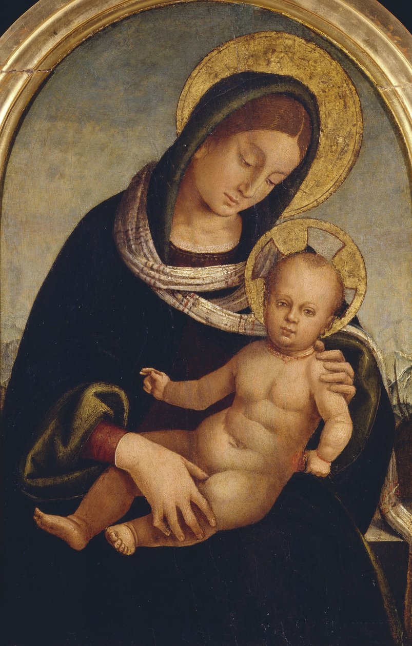 Madonna con Bambino da Luca Signorelli