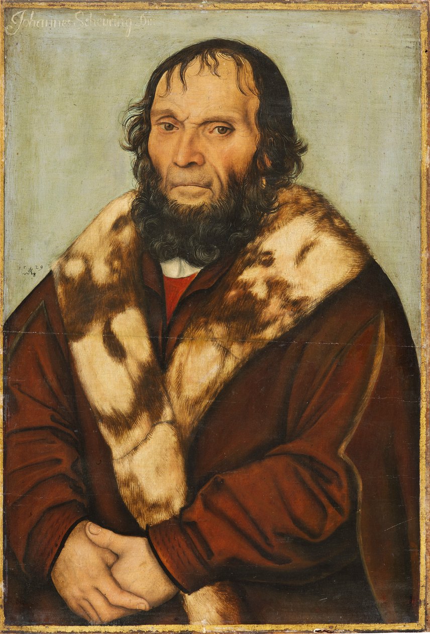 Ritratto del teologo di Magdeburgo Dr. Johannes Scheyring da Lucas Cranach the Elder