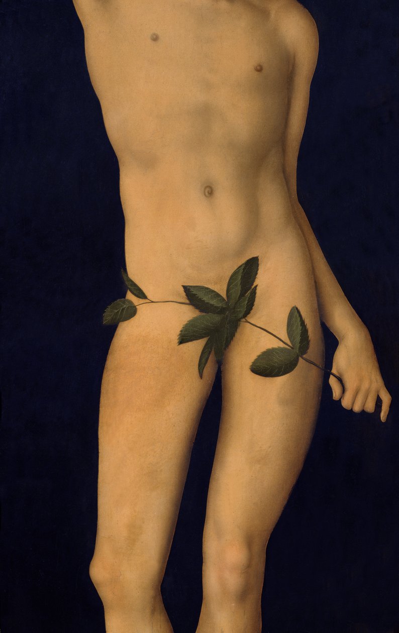 Adamo (dettaglio) da Lucas Cranach the Elder