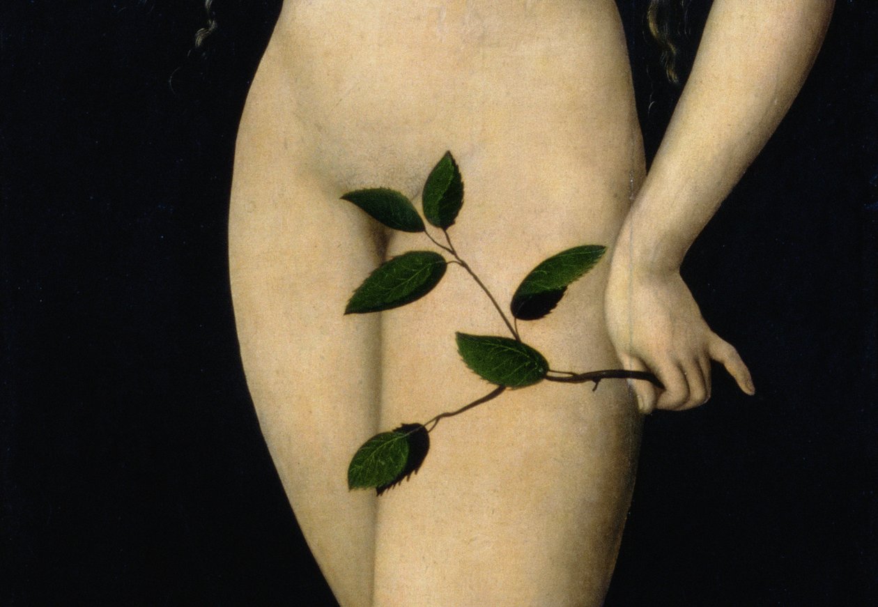 Eva, 1528 (dettaglio) da Lucas Cranach the Elder