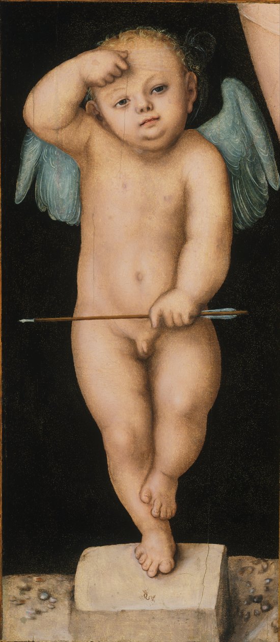 Cupido da Lucas Cranach the Elder