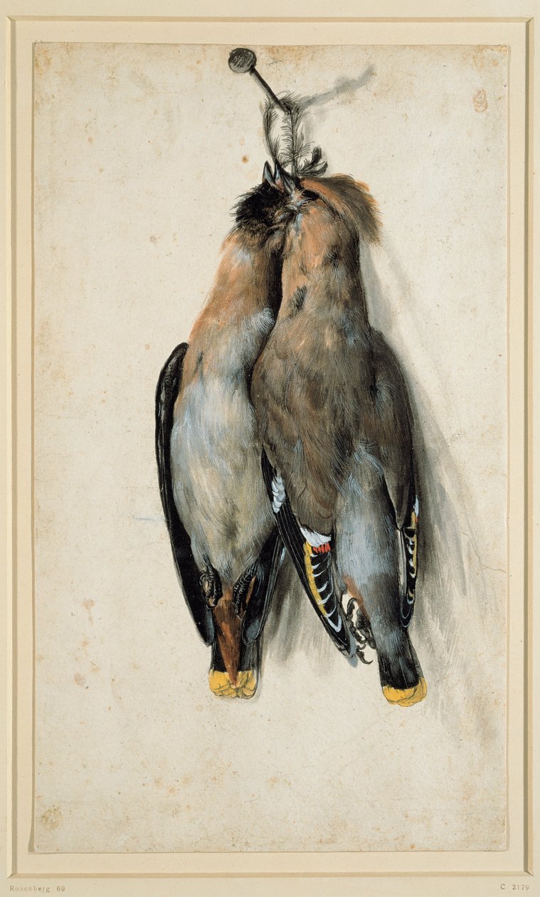 Due cince boeme morte da Lucas Cranach the Elder