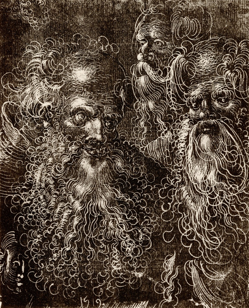 Vari studi di teste da Lucas (school of) Cranach