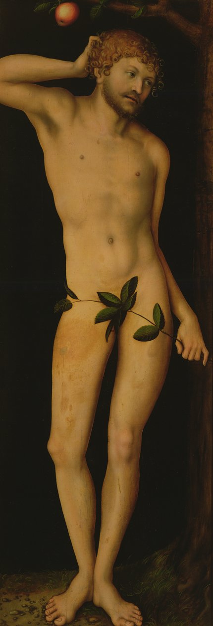 Adamo, 1528 da Lucas Cranach the Elder