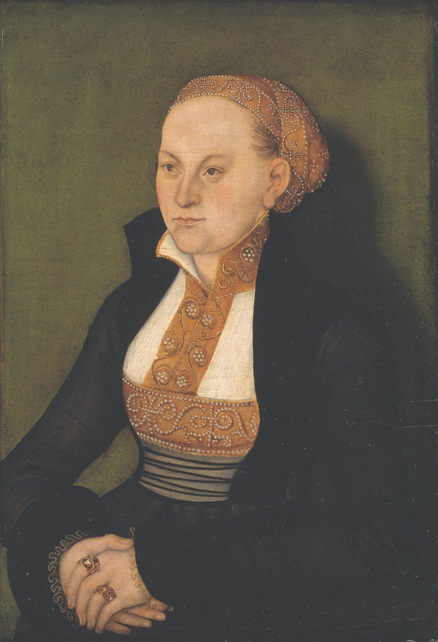 Ritratto di una signora da Lucas Cranach d.Æ.
