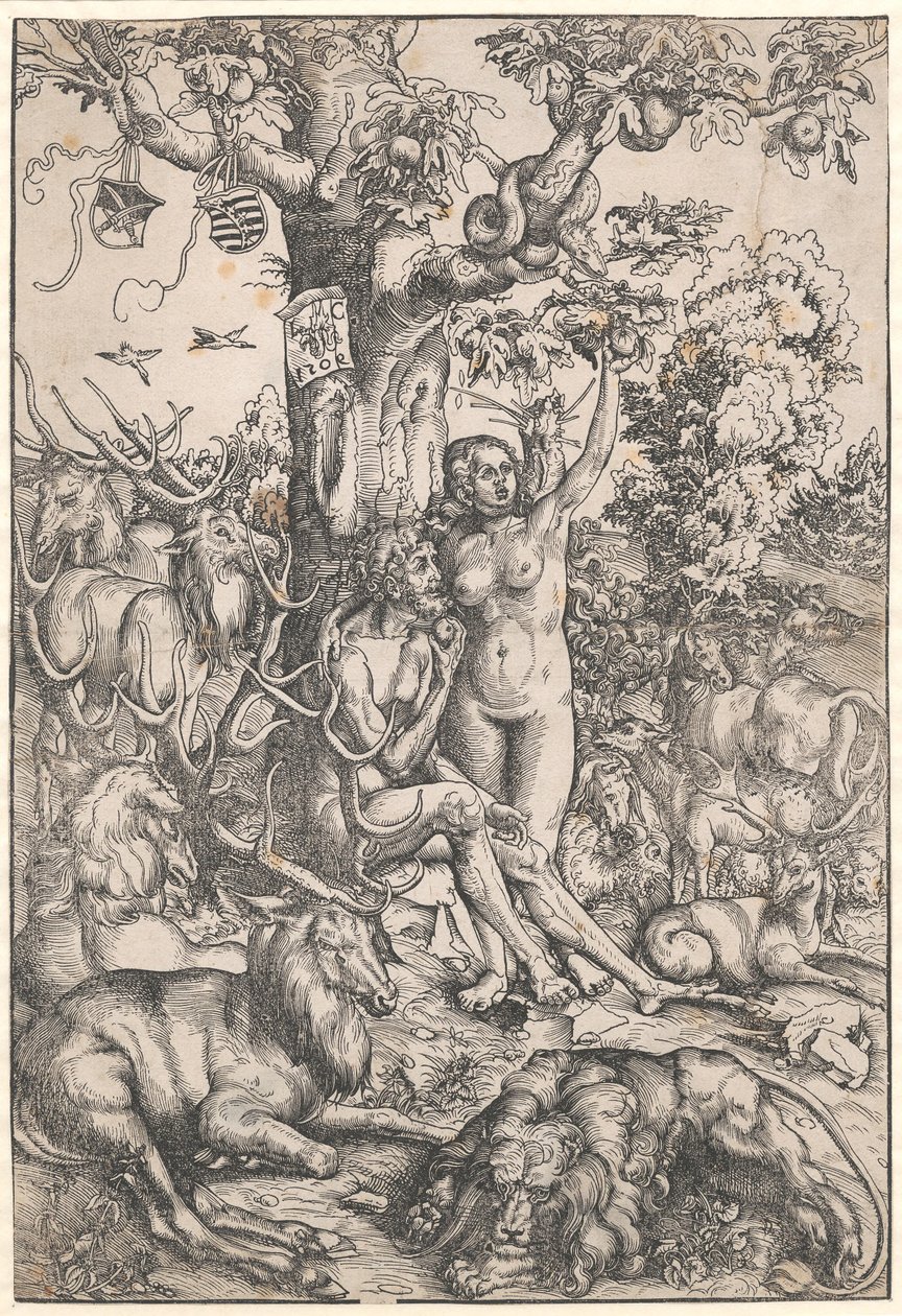 La caduta dell