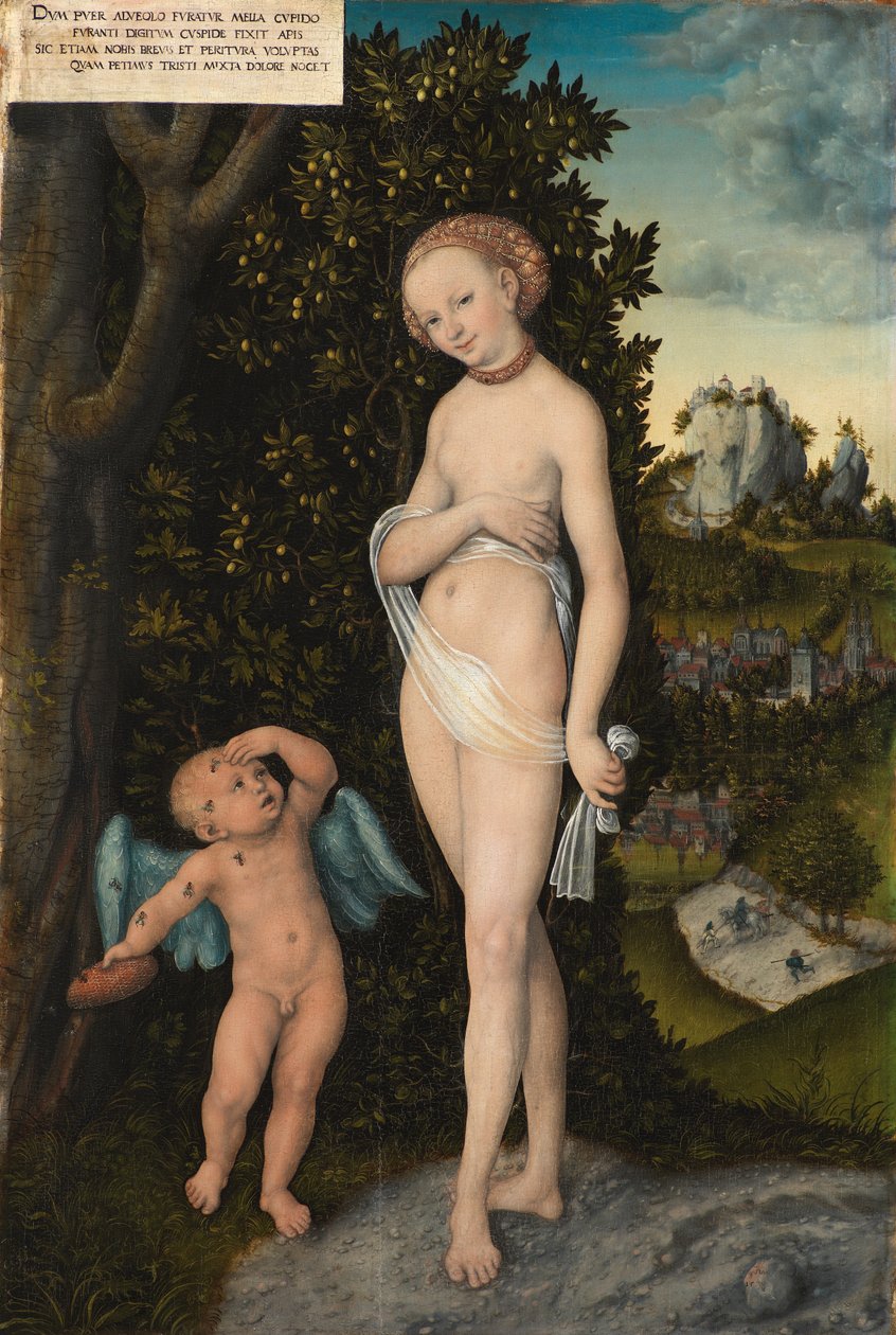 Venere con Cupido che ruba il miele da Lucas Cranach d.Æ.