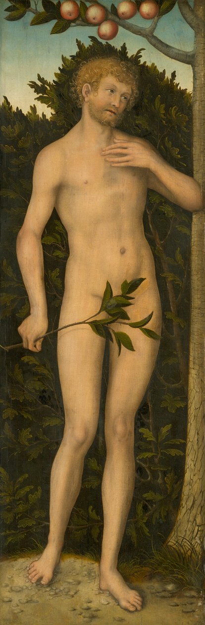 Adamo da Lucas Cranach the Elder