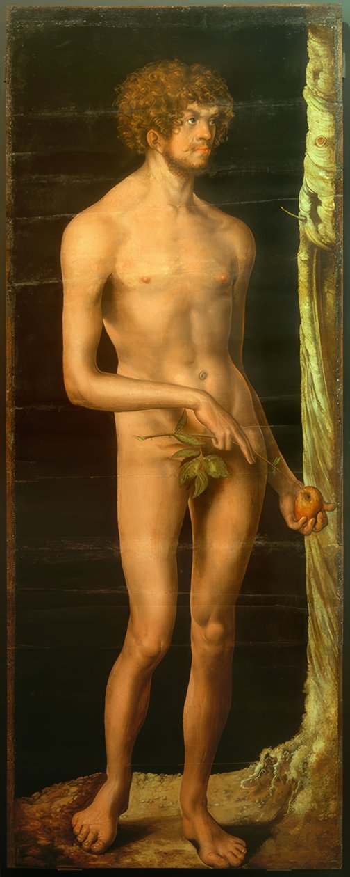 Adamo da Lucas Cranach the Elder