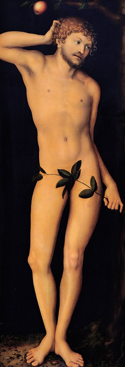 Adamo da Lucas Cranach the Elder