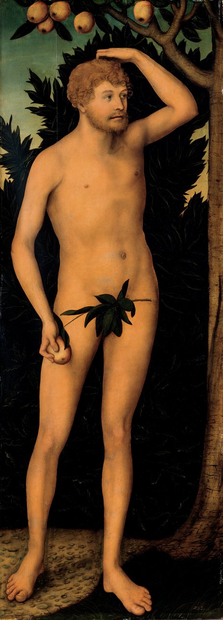 Adamo, dopo il 1537 da Lucas Cranach the Elder