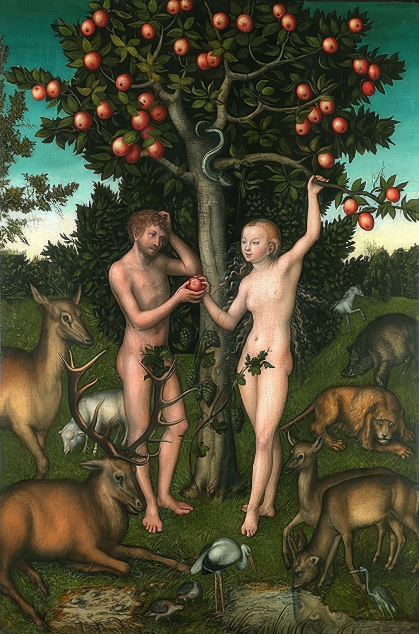 Adamo ed Eva da Lucas Cranach the Elder