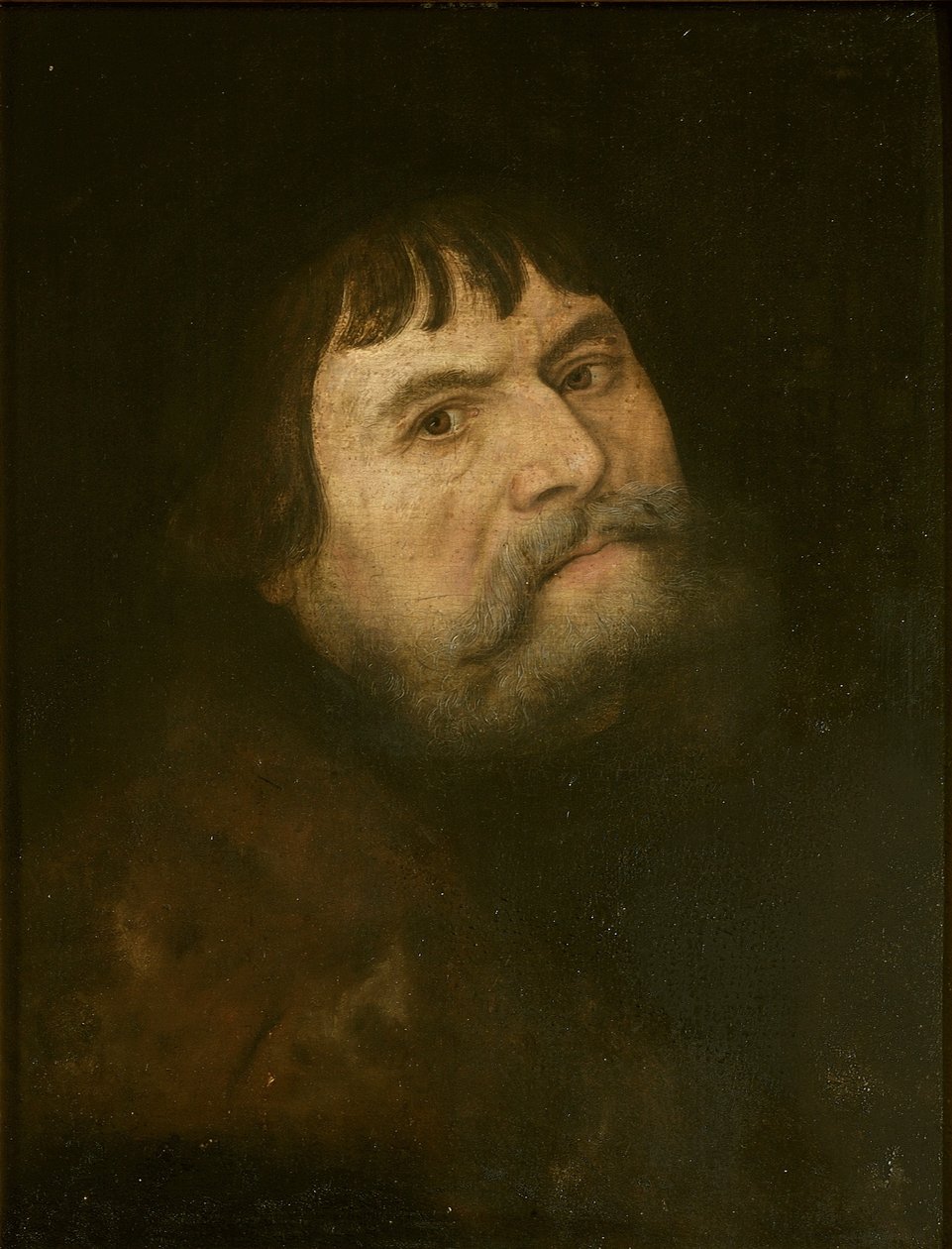 Autoritratto da Lucas Cranach the Elder