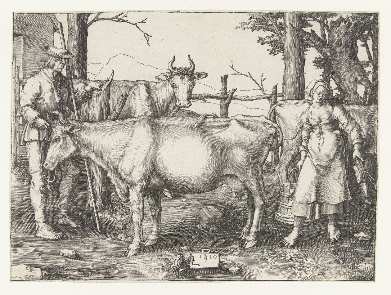 La lattaia da Lucas van Leyden