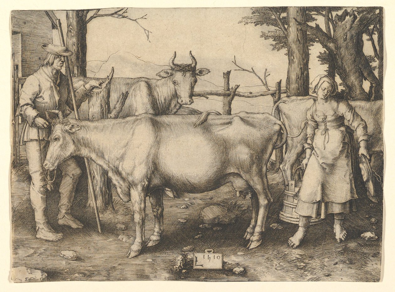 La lattaia da Lucas van Leyden