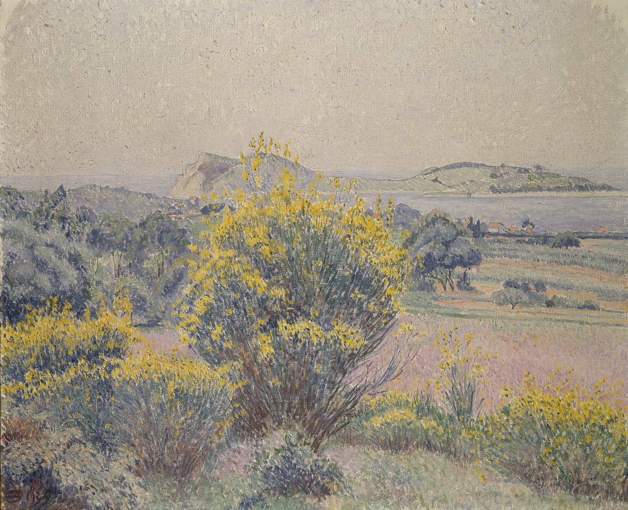 Broom, Le Brusq, 1925 da Lucien Pissarro